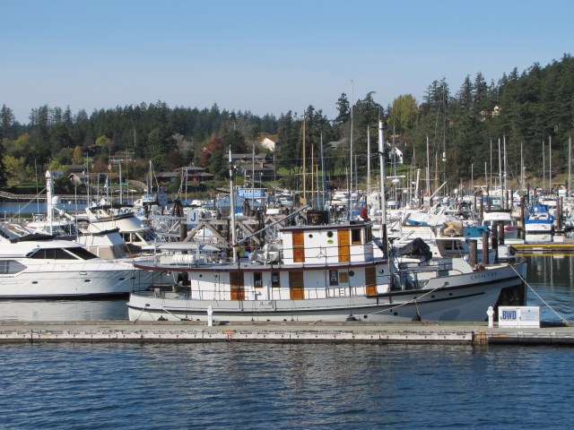 Taken from the Washington State Ferry that goes from Anacortes, Wa to Sydney, British Columbia