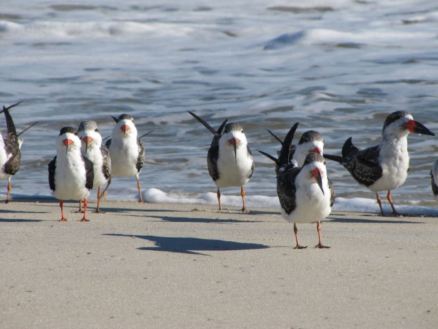 Walkin' on the beach