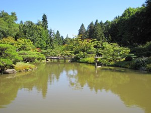 Seattle Japanese Garden Pond with zigzag bridge