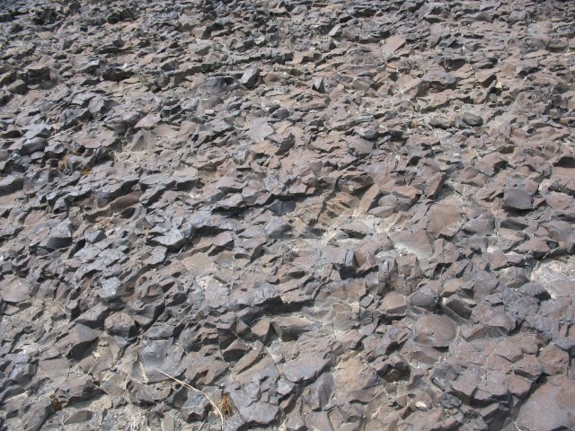 Basalt rocks along the Columbia River in Eastern Washington State
