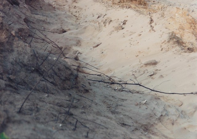 Looking over cliffside in Dunwich, human bones from graves being exposed by the sea