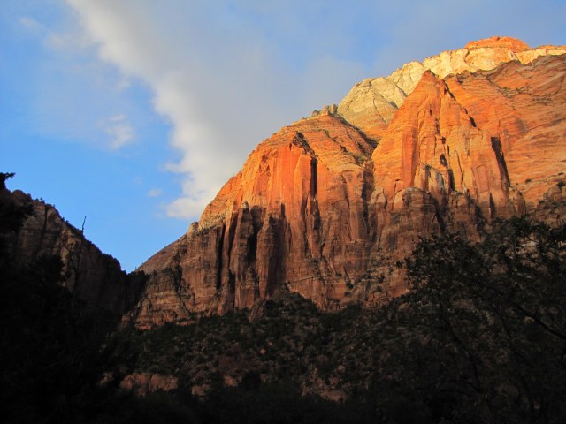 Cliff, Zion National Park
