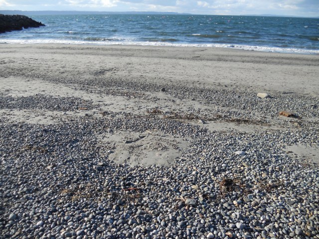 Beach, Edmonds, Washington