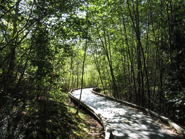 move-and-narbeck-008