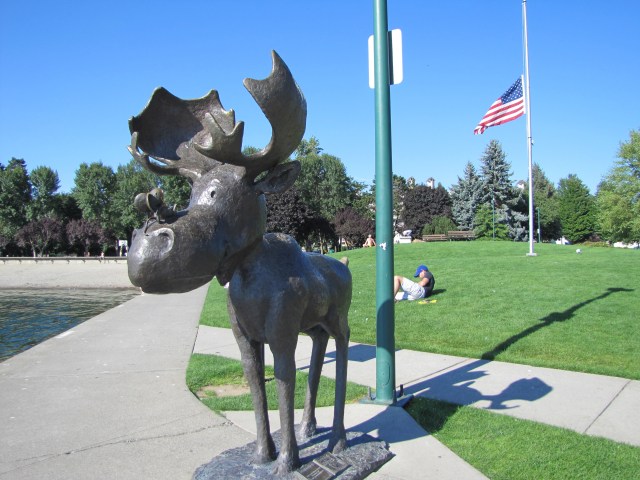 Mudgy the Moose, and Millie