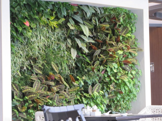 Living Wall