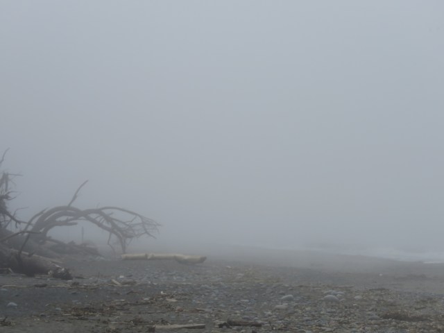 FoggyBeach