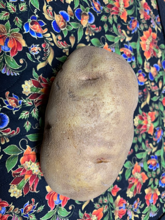 Tater