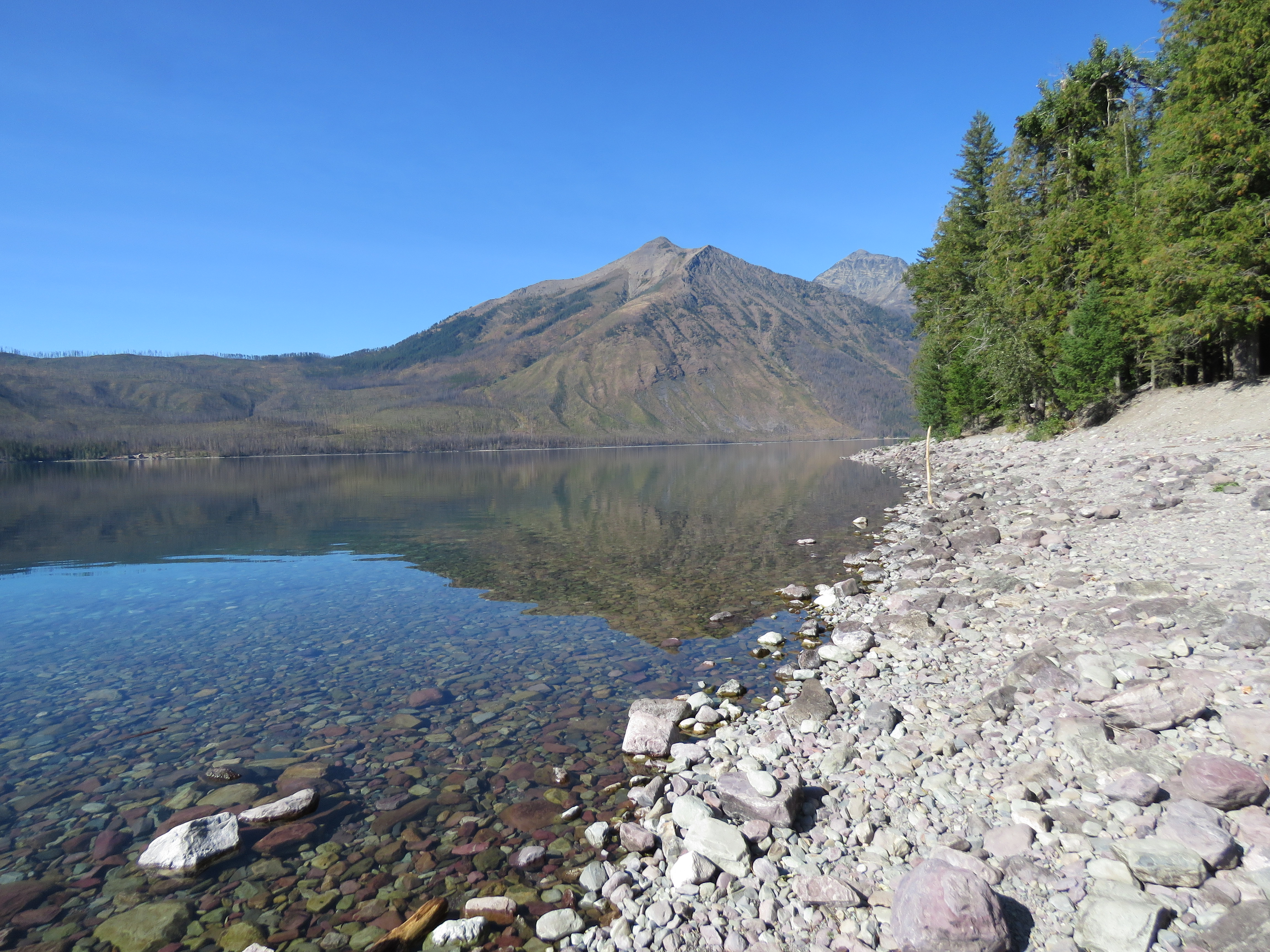 LakeMcDonaldShoreline