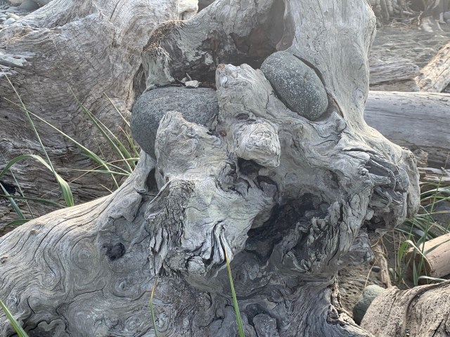 Driftwood-rocks