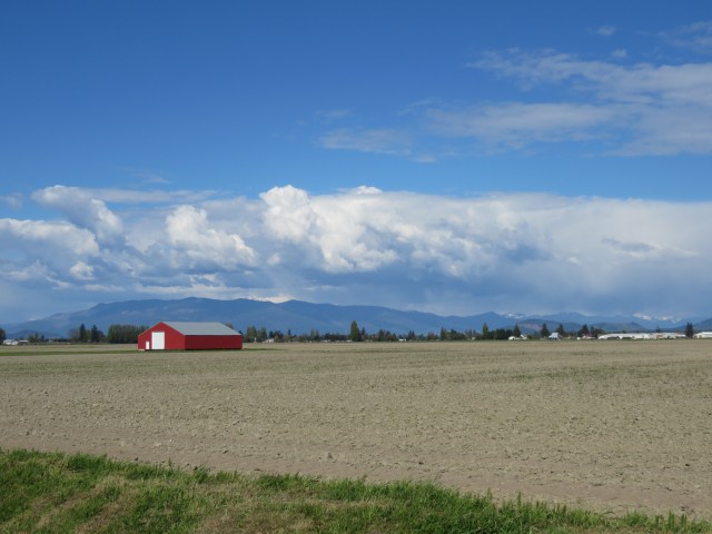 RedBarn-SkagitField