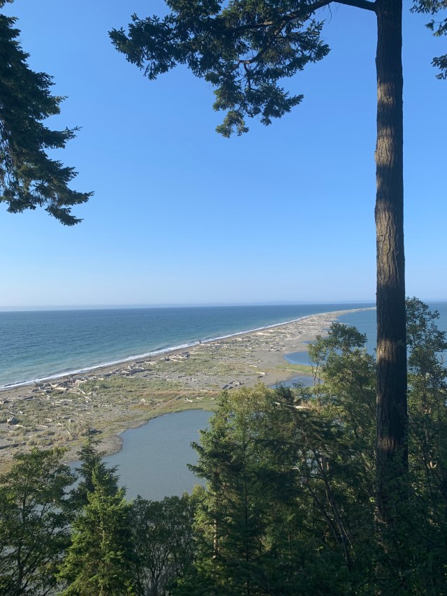 SpitFromPath-Dungeness