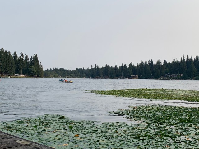 Lake-paddlers, Flowing Lake Park