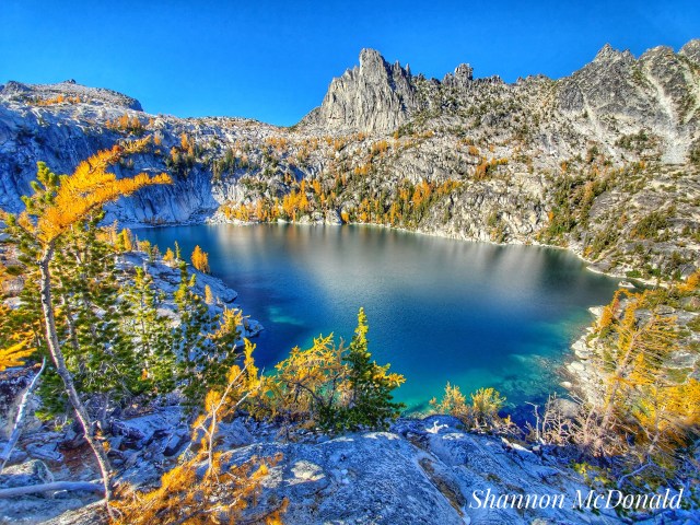 Shannon-Enchantments2