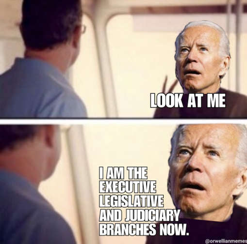 joe-biden-executive-legislative-judiciary-branches-now