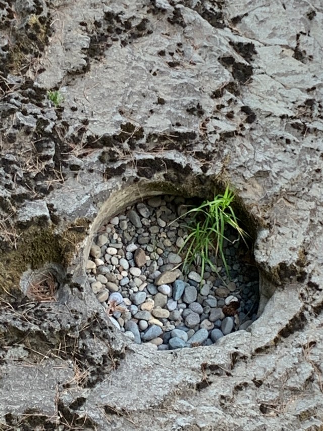 TumwaterFallsPebbles