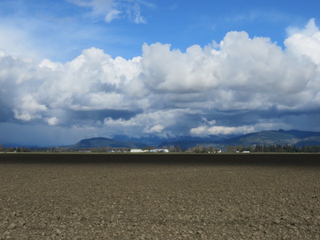 Plowed field, big sky