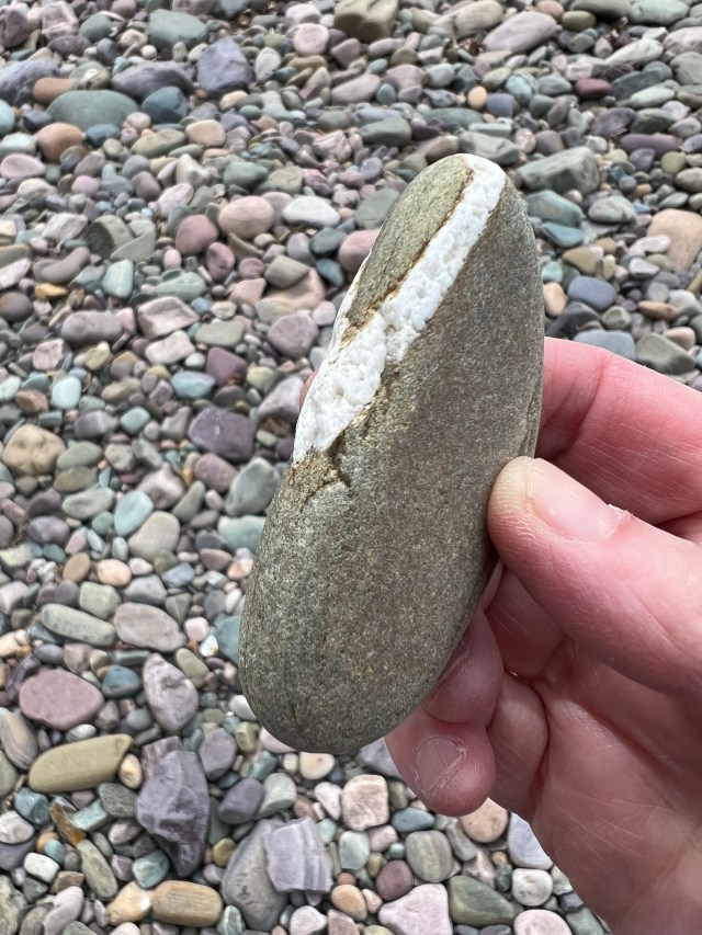 Rock with quartz band-Missoula