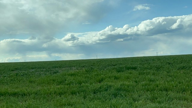 BrightGreenFields-AlmiraWA