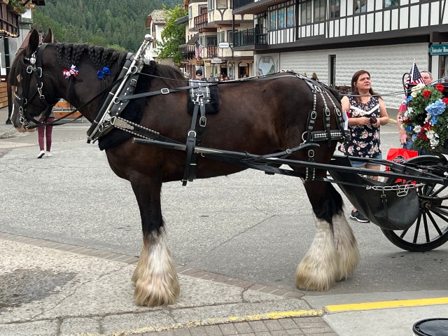 CarriageHorse-Leavenworth