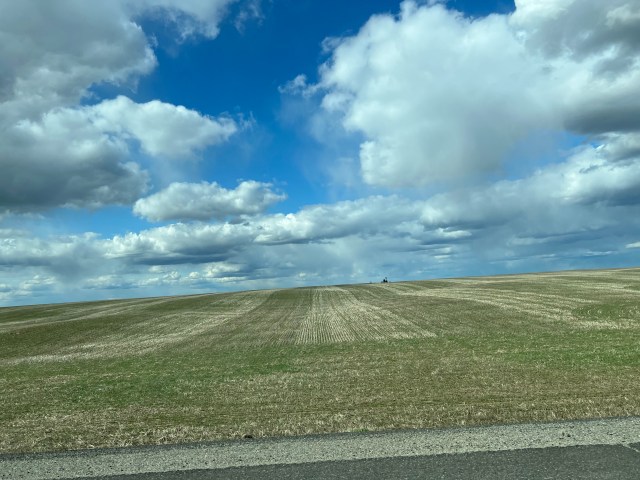 Fields, Davenport, WA