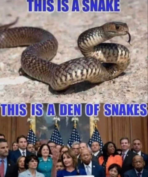 snake-den-of-snakes-democrats-pelosi-schumer