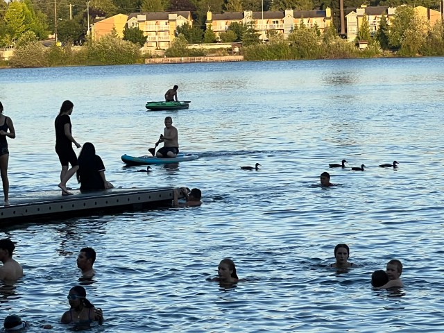 Swimmers-kids and ducks-Silver Lake