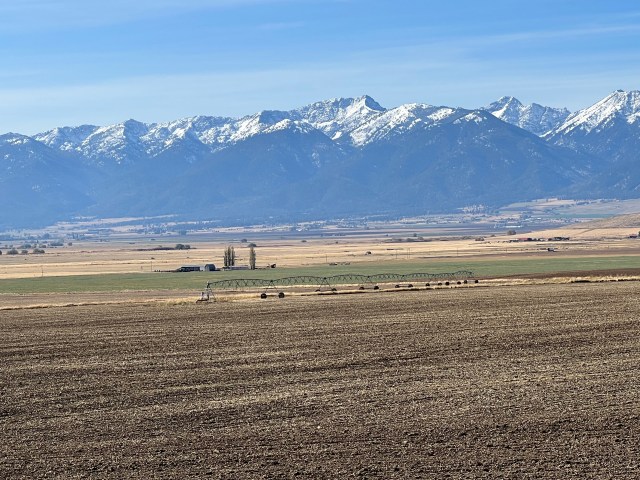 BlueMountains,Field,Baker City OR