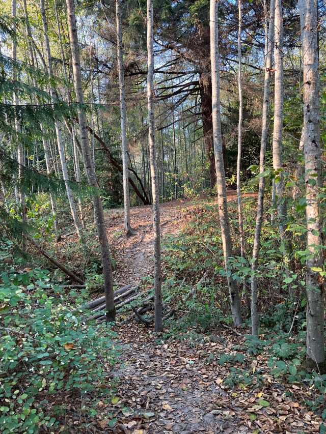 UnauthorizedTrail-Narbeck2022