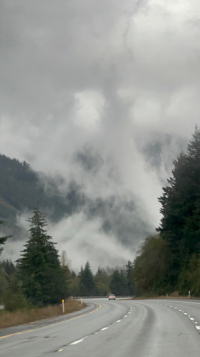 HalloweenMist-Snoqualmie