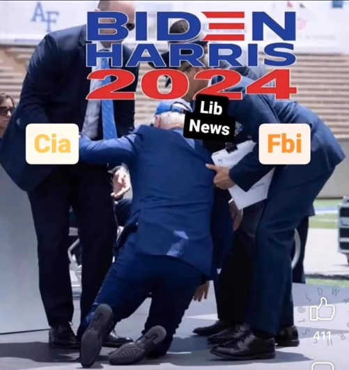 biden-harris-fall-helped-cia-fbi-liberal-media-news