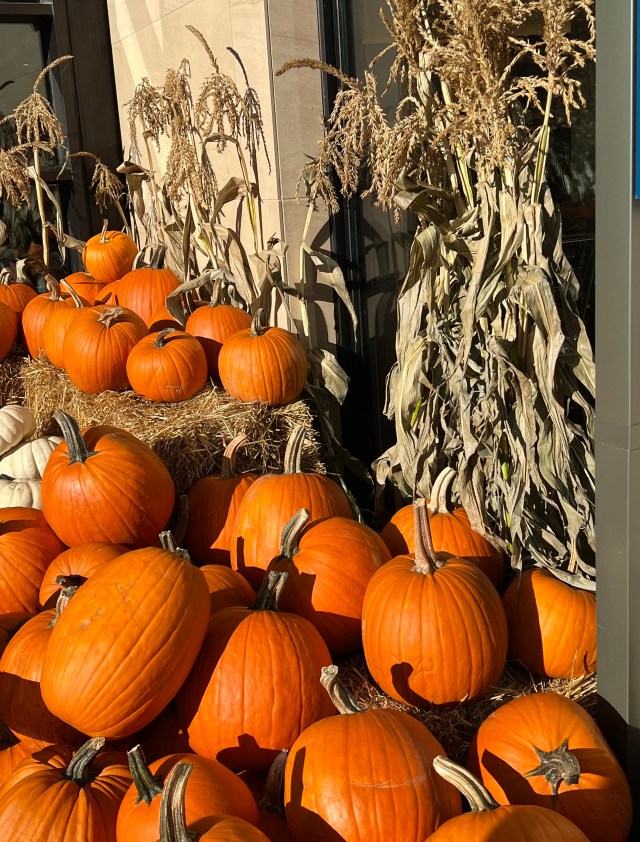 FallDisplay-Pumpkins