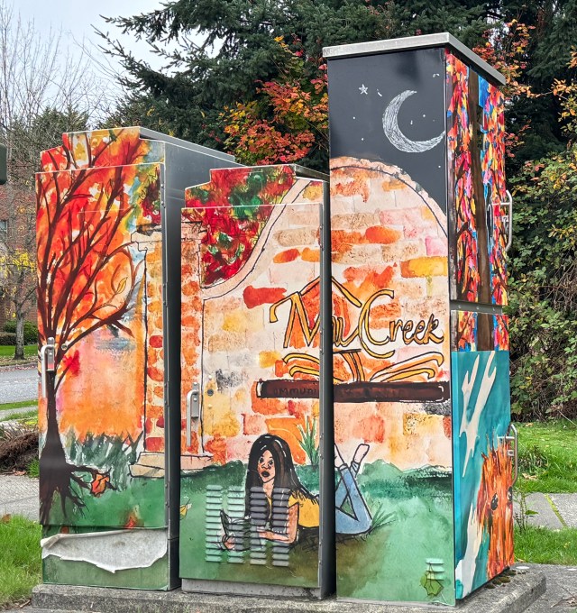 PaintedTransformerBox-MillCreek