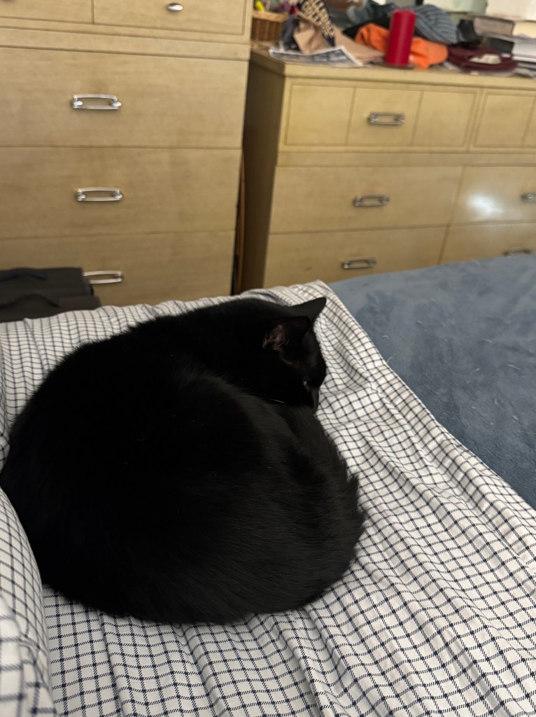 Kikyo keeping me company while I read